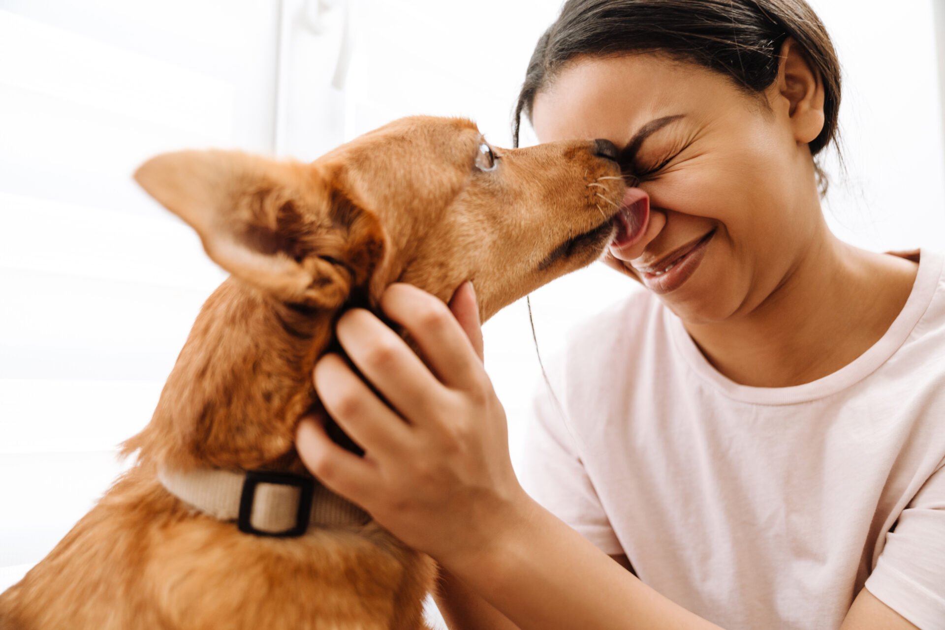 Dog licking their owner's face
