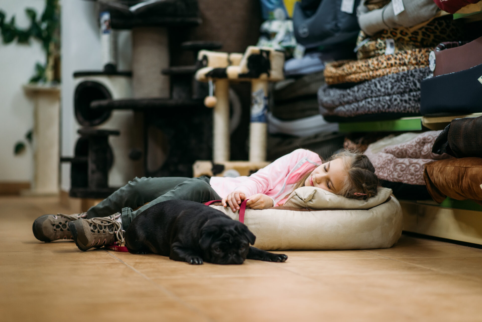 Puppy sleeping next to child